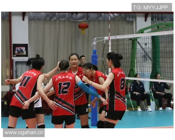 深入探讨北京排球队力量表现的数据分析与提升策略